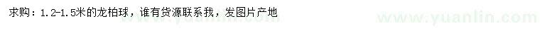 求購(gòu)1.2-1.5米龍柏球