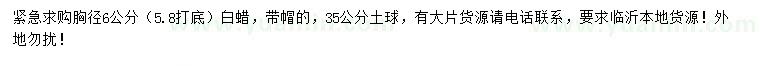 求購胸徑6公分白蠟