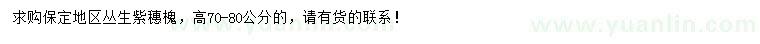 求購高70-80公分叢生紫穗槐