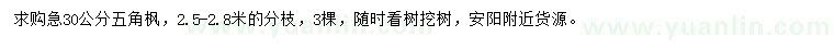 求購(gòu)30公分五角楓
