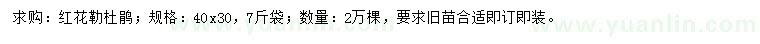 求購40x30紅花勒杜鵑