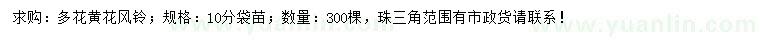 求購10公分多花黃花風(fēng)鈴