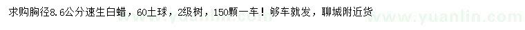 求購胸徑8.6公分速生白蠟
