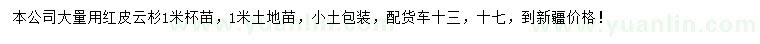 求購1米紅皮云杉