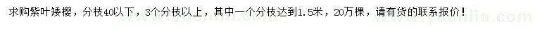 求購紫葉矮櫻