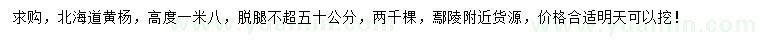 求購高1.8米北海道黃楊