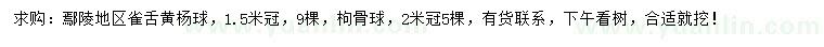 求購(gòu)冠幅1.5米雀舌黃楊