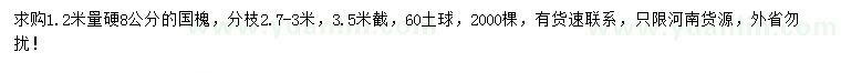 求購1.2米量硬8公分國槐
