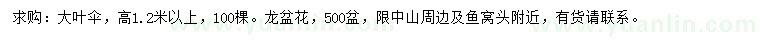求購高1.2米以上大葉傘、龍盆花