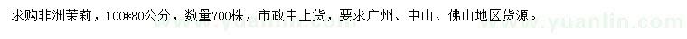 求購100*80公分非洲茉莉
