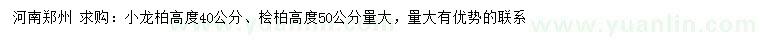 求購(gòu)高40公分小龍柏、50公分檜柏