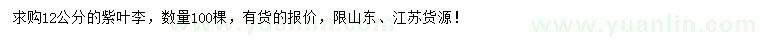 求購(gòu)12公分紫葉李
