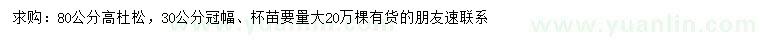 求購高80公分杜松