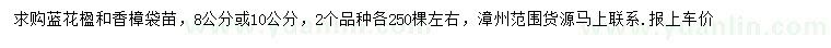 求購8、10公分藍(lán)花楹、香樟
