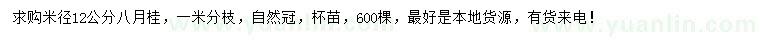 求購米徑12公分八月桂