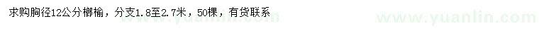 求購胸徑12公分榔榆