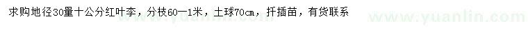 求購30量10公分紅葉李