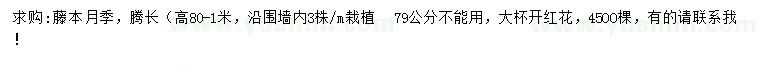 求購高0.8-1米藤本月季