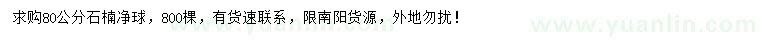 求購(gòu)80公分石楠球