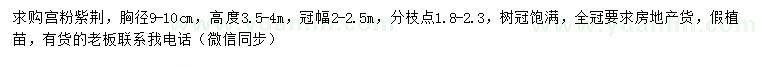 求購(gòu)胸徑9-10公分宮粉紫荊