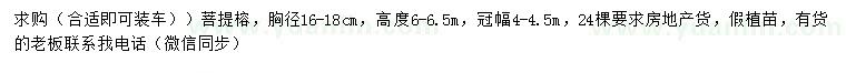 求購(gòu)胸徑16-18公分菩提榕