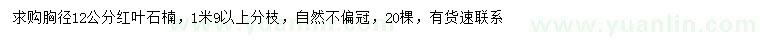 求購胸徑12公分紅葉石楠