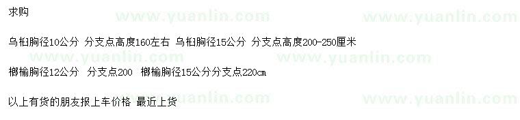 求購胸徑10、15公分烏桕、胸徑12、15公分榔榆