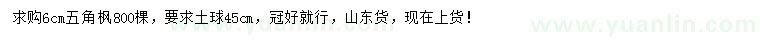 求購6公分五角楓
