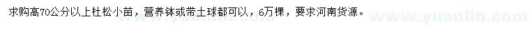 求購高70公分以上杜松小苗