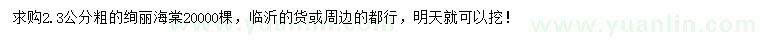 求購2.3公分絢麗海棠