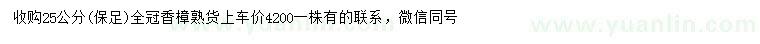 求購(gòu)25公分香樟