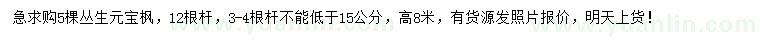 求購12根桿叢生元寶楓