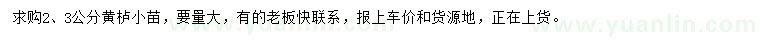 求購2、3公分黃櫨小苗