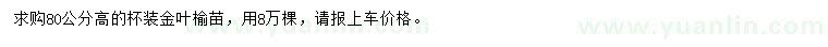 求購高80公分金葉榆