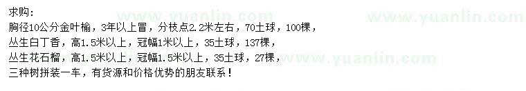求購金葉榆、 叢生白丁香、 叢生花石榴