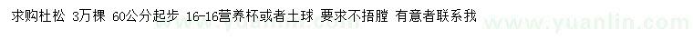 求購60公分以上杜松
