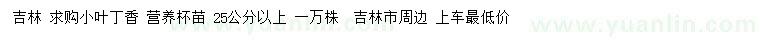 求購(gòu)25公分以上小葉丁香