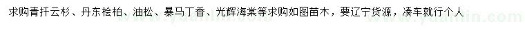 求購青扦云杉、丹東檜柏、油松等