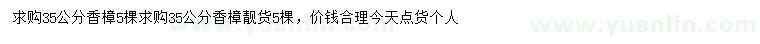 求購35公分香樟