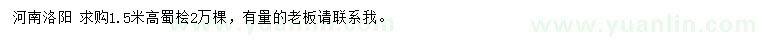 求購高1.5米蜀檜
