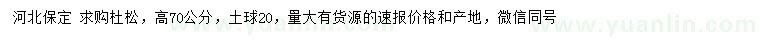 求購高70公分杜松