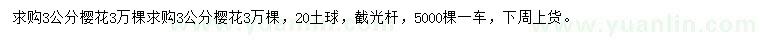求購3公分櫻花