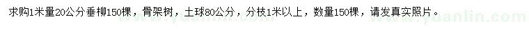 求購1米量20公分垂柳