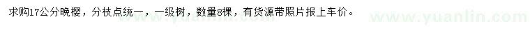 求購17公分晚櫻