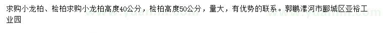 求購高40公分小龍柏、50公分檜柏