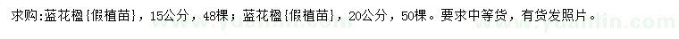 求購15、20公分藍花楹