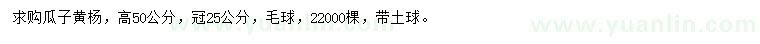 求購高50公分瓜子黃楊