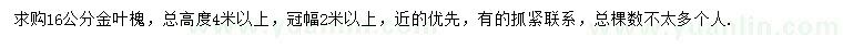 求購16公分金葉槐