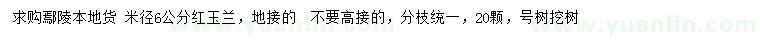 求購米徑6公分紅玉蘭