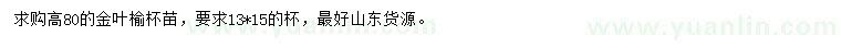 求購高80公分金葉榆